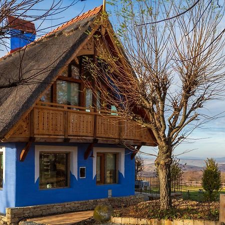 Casele Cu Stuf B&B Haus Ulrike Salicea Екстер'єр фото