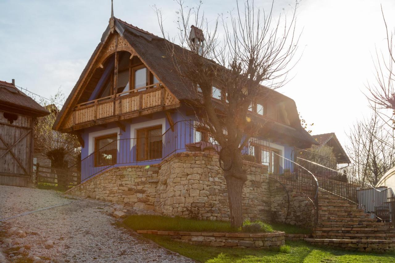 Casele Cu Stuf B&B Haus Ulrike Salicea Екстер'єр фото