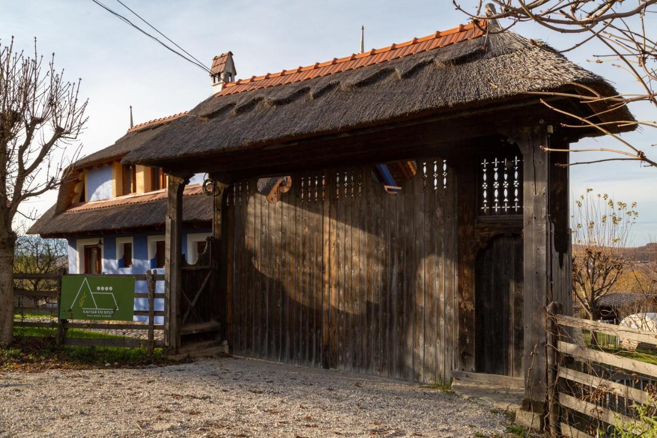 Casele Cu Stuf B&B Haus Ulrike Salicea Екстер'єр фото
