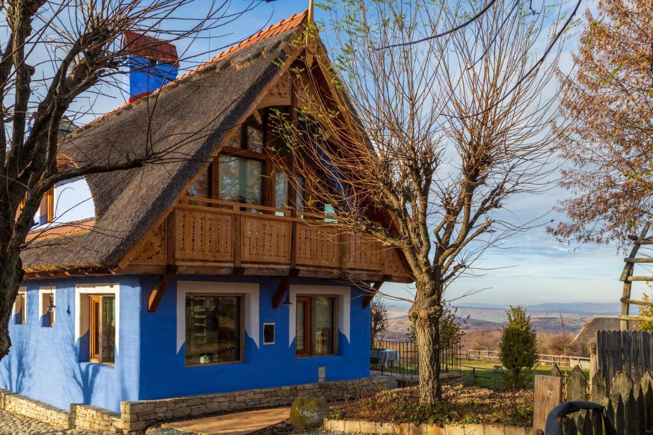 Casele Cu Stuf B&B Haus Ulrike Salicea Екстер'єр фото