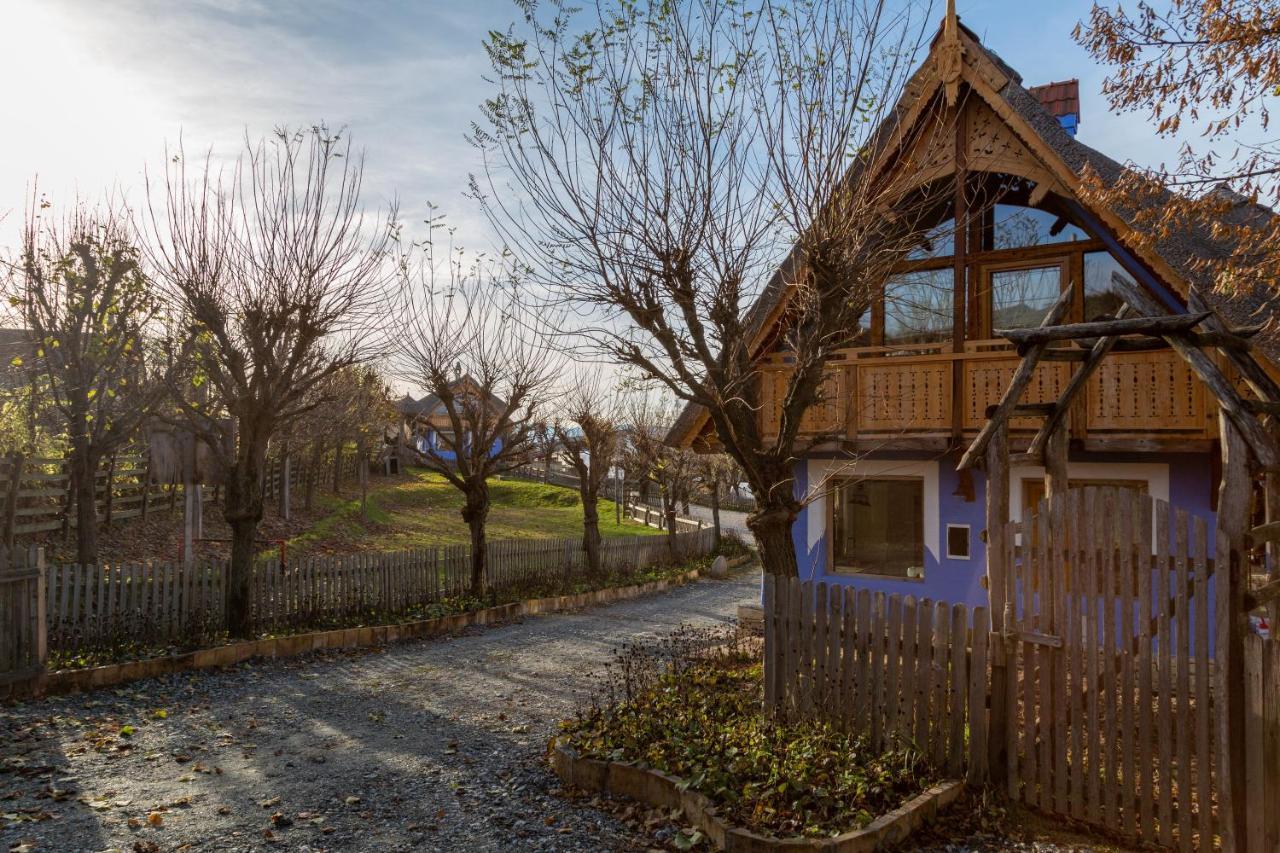 Casele Cu Stuf B&B Haus Ulrike Salicea Екстер'єр фото