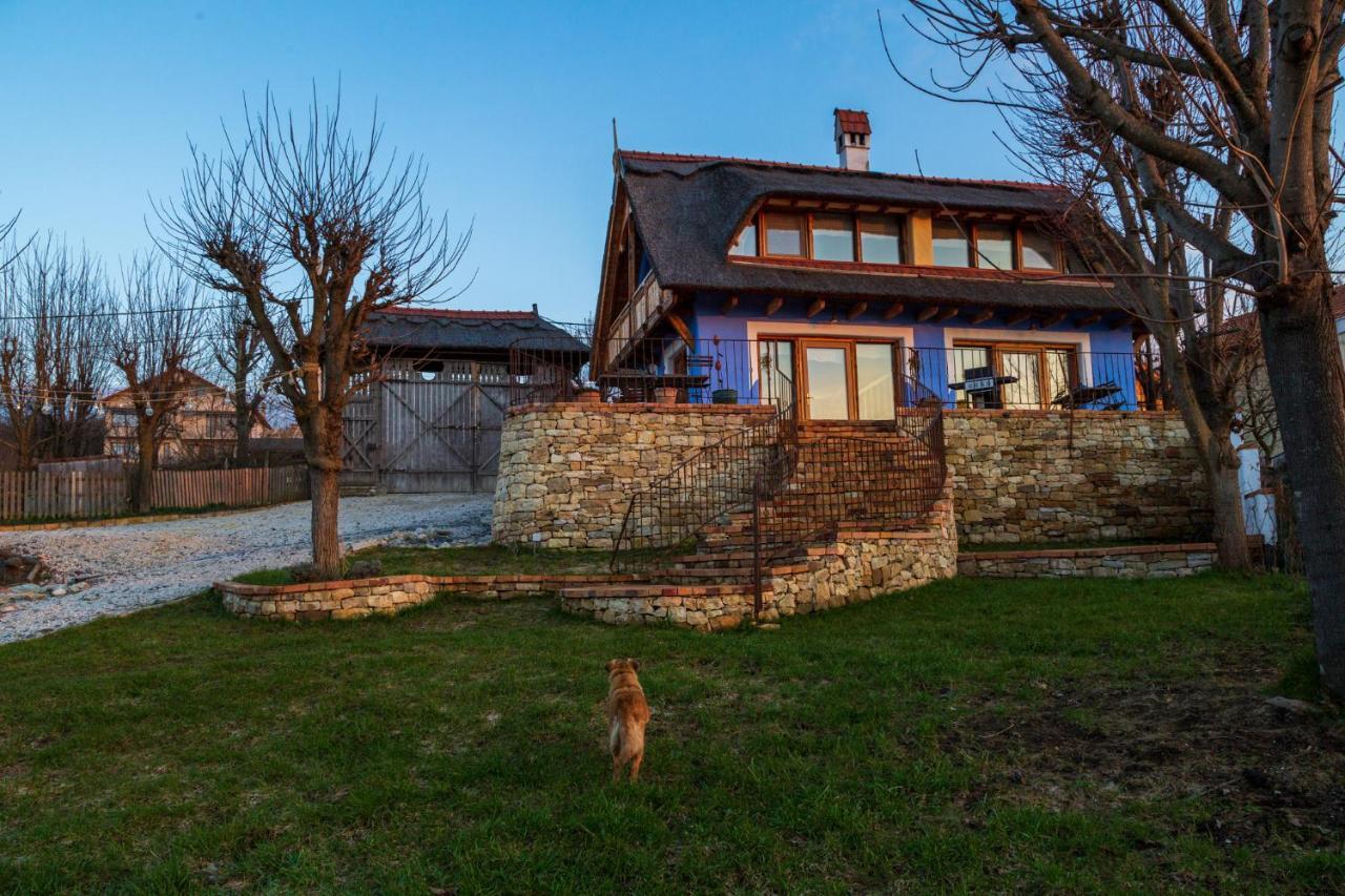 Casele Cu Stuf B&B Haus Ulrike Salicea Екстер'єр фото