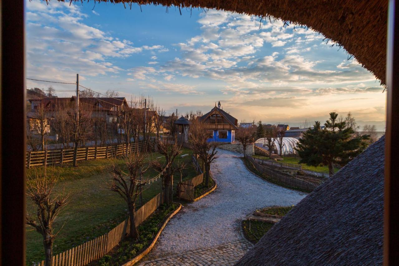 Casele Cu Stuf B&B Haus Ulrike Salicea Екстер'єр фото