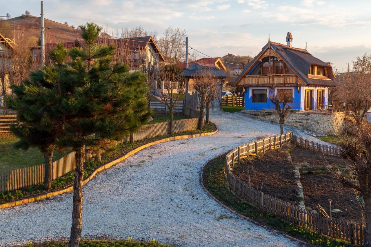 Casele Cu Stuf B&B Haus Ulrike Salicea Екстер'єр фото