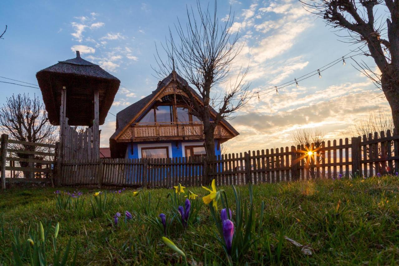 Casele Cu Stuf B&B Haus Ulrike Salicea Екстер'єр фото