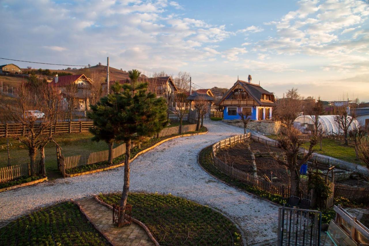 Casele Cu Stuf B&B Haus Ulrike Salicea Екстер'єр фото