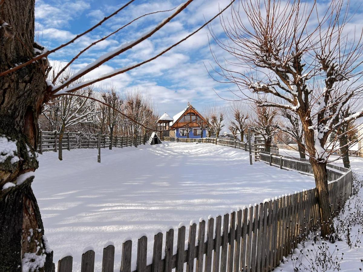 Casele Cu Stuf B&B Haus Ulrike Salicea Екстер'єр фото