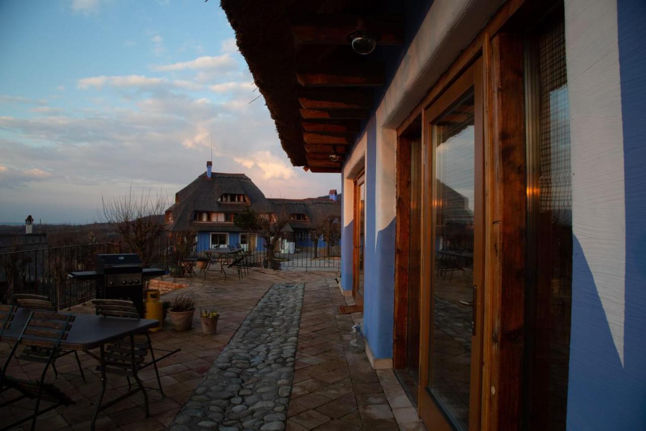 Casele Cu Stuf B&B Haus Ulrike Salicea Екстер'єр фото