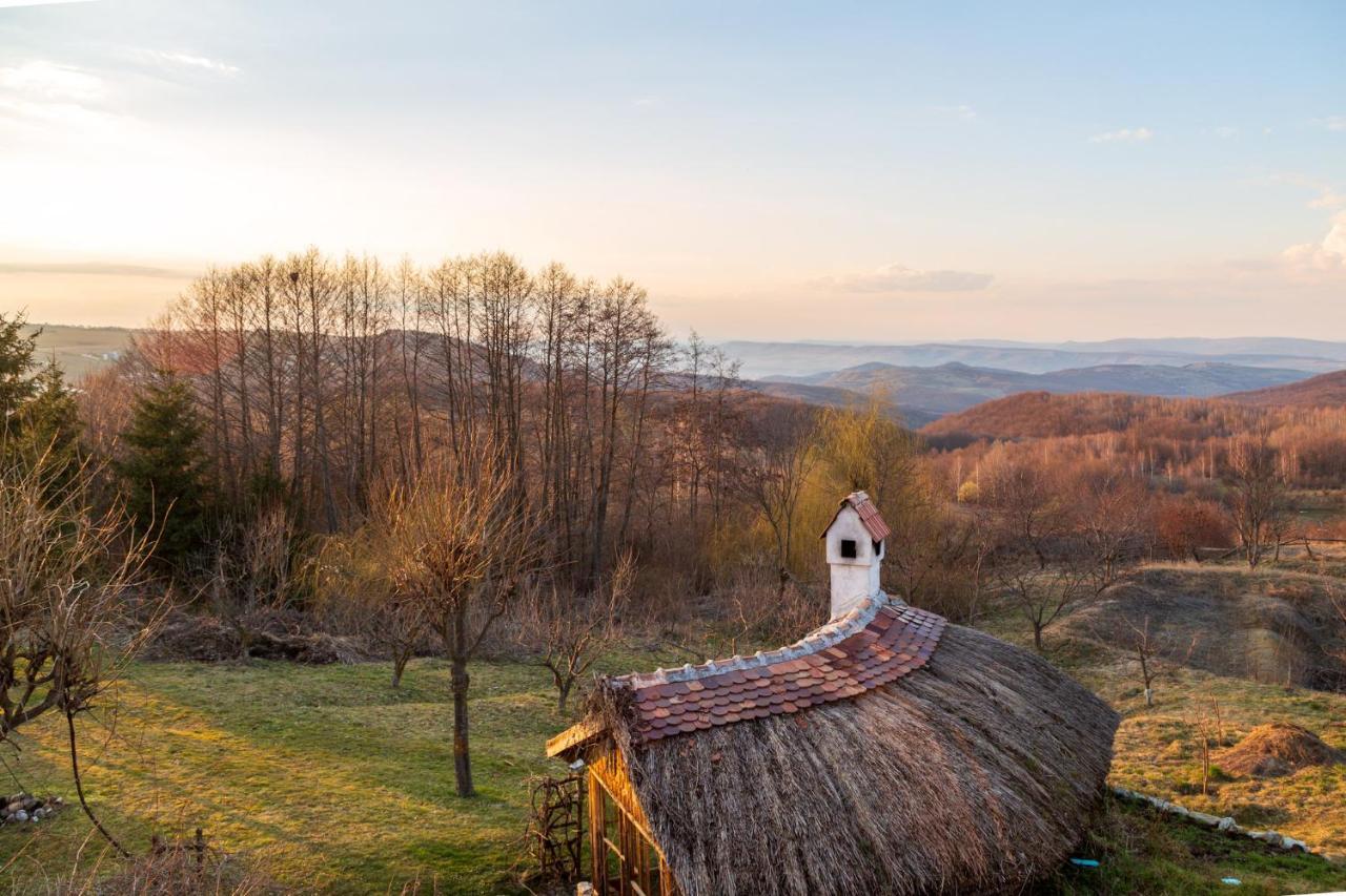 Casele Cu Stuf B&B Haus Ulrike Salicea Екстер'єр фото