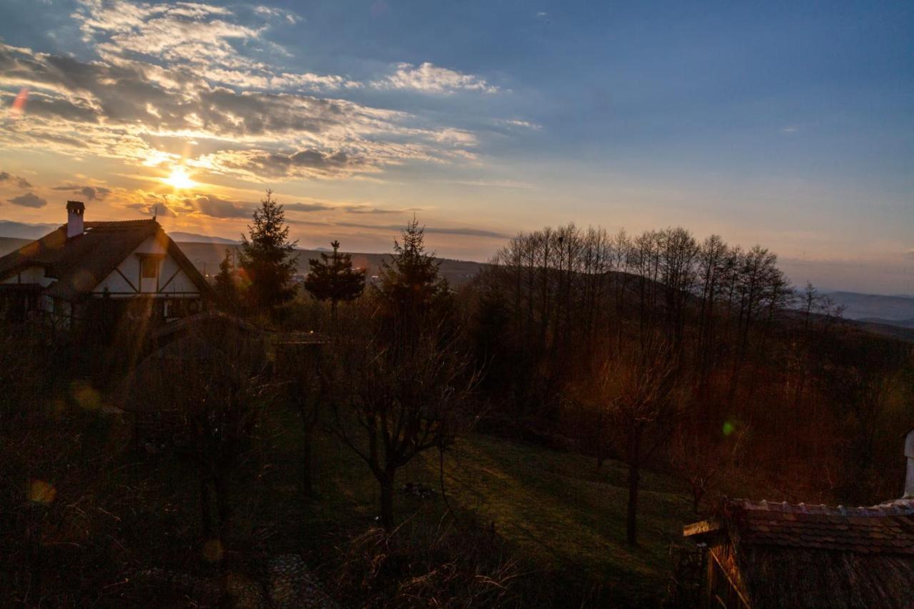 Casele Cu Stuf B&B Haus Ulrike Salicea Екстер'єр фото