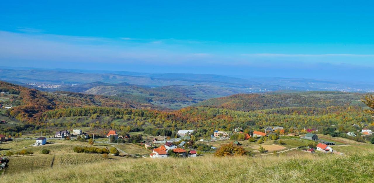 Casele Cu Stuf B&B Haus Ulrike Salicea Екстер'єр фото