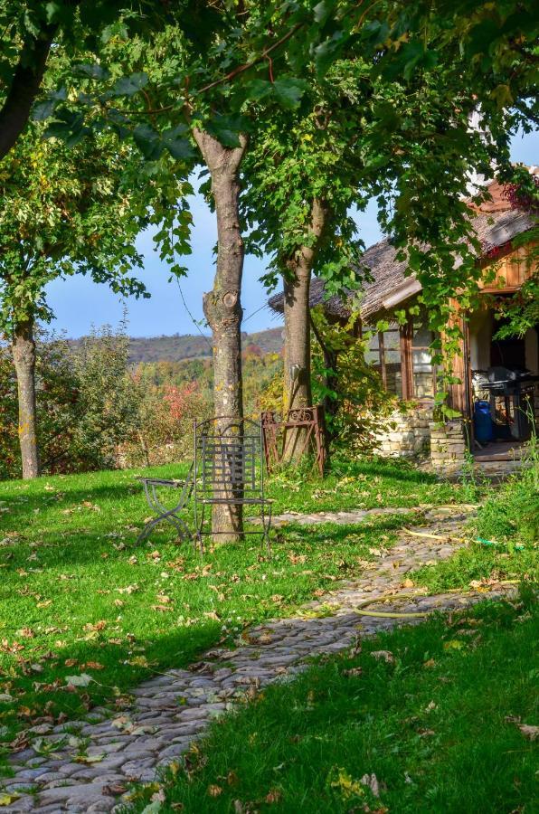 Casele Cu Stuf B&B Haus Ulrike Salicea Екстер'єр фото