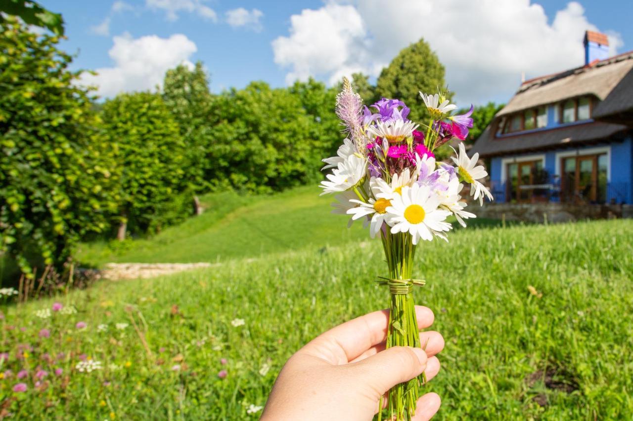Casele Cu Stuf B&B Haus Ulrike Salicea Екстер'єр фото