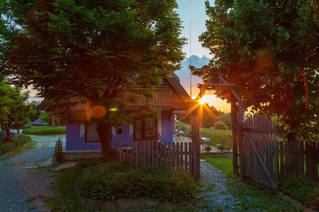 Casele Cu Stuf B&B Haus Ulrike Salicea Екстер'єр фото