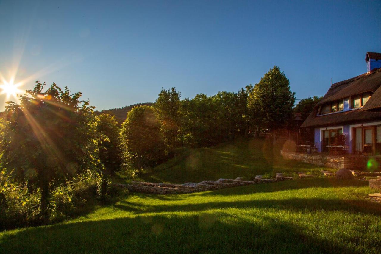 Casele Cu Stuf B&B Haus Ulrike Salicea Екстер'єр фото